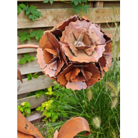 gebogen roos ecoroest